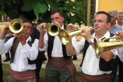 guca_2010_trumpet_007