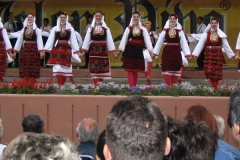 res_1270630370