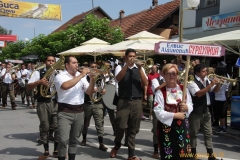 Festival_parade 12