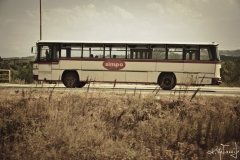 7871266672_7292592336_b