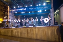 Bozidar_Nikolic_Donja_-Grdelica
