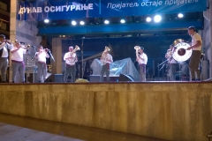 Elvis_Bajramovic_-Bojnik