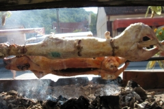 48_Guca_Gathering031