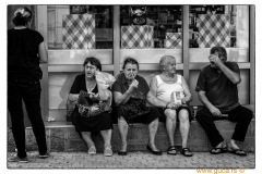 Guca-2019-0005-By-Zeljko-Sinobad
