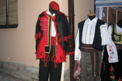 guca_2010_trumpet_wisitors_012